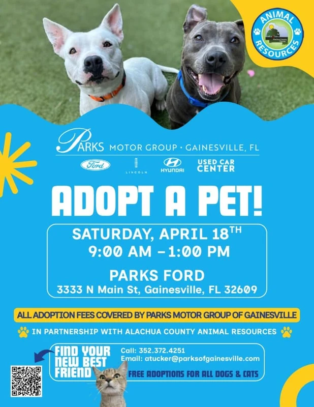 additional-ways-to-engage-and-support - How to Find Local Pet Adoption Events in 2026 Nationwide
