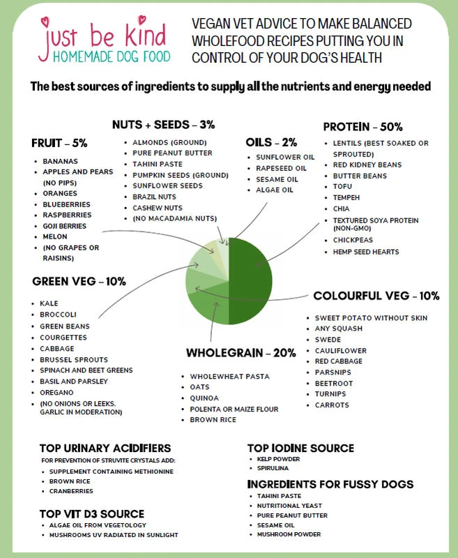 alternative-methods-and-commercial-options - How to Make Homemade Plant-Based Dog Food Safely & Nutritiously