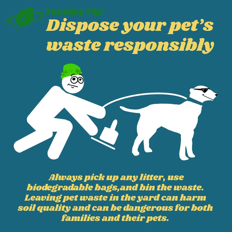 alternative-methods-for-pet-waste-disposal - How to Dispose of Pet Waste Responsibly for Health & Environment