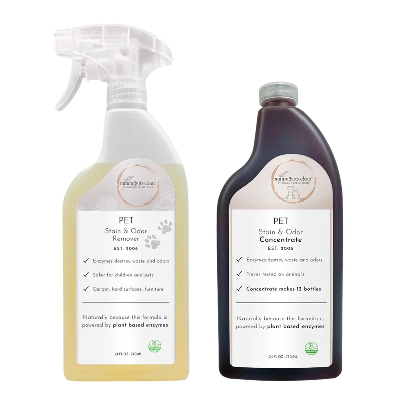 alternative-methods-for-specific-pet-stains - How to Remove Tough Pet Stains Eco-Friendly with Natural Cleaners