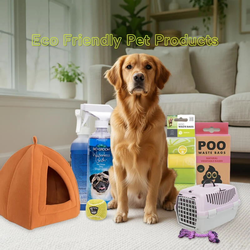 alternative-methods-for-sustainable-pet-play - How to Choose Eco-Friendly Pet Toys for Health & Sustainability