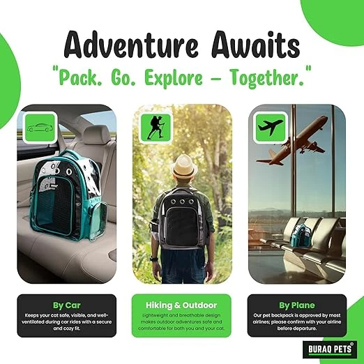 benefits-of-using-eco-friendly-pet-travel-gear - How to Pack Eco-Friendly Travel Gear for Pets Safely