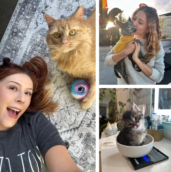 broader-impacts-of-fostering-on-animal-welfare-com - Foster-to-Adopt Programs Boost Pet Adoption Success Rates