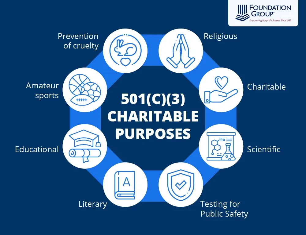 ethical-and-practical-considerations-in-choosing-a - Private vs Public Pet Adoption: Key Pros and Cons Explained