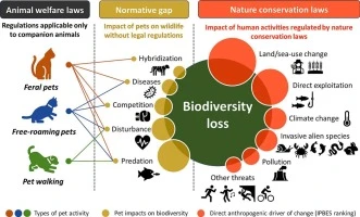 exotic-pets-and-conservation-awareness - How Pets Boost Community Conservation Awareness and Action