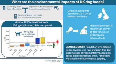 expert-perspectives-and-future-outlook - Vegan Pet Food Meets AAFCO Standards with Key Nutrient Insights