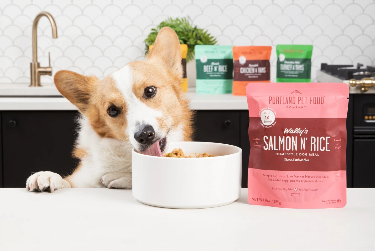 faq - Benefits of Organic Pet Food for Dogs Explained Clearly