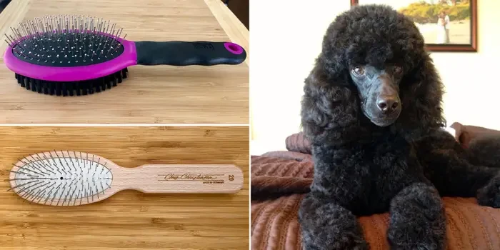 faq - Best Eco-Friendly Dog Grooming Tools for 2026: Bamboo & More