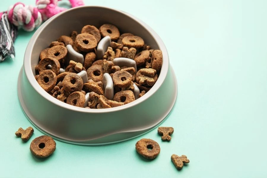 faq - Best Hypoallergenic Dog Food for Allergies: Top 2026 Choices