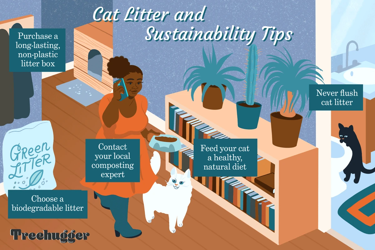 faq - Eco-Friendly Cat Litter Disposal: Safe, Sustainable Methods