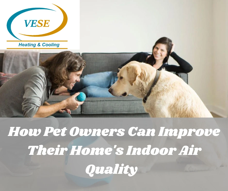 faq - How Air Quality Impacts Pet Health and Home Safety