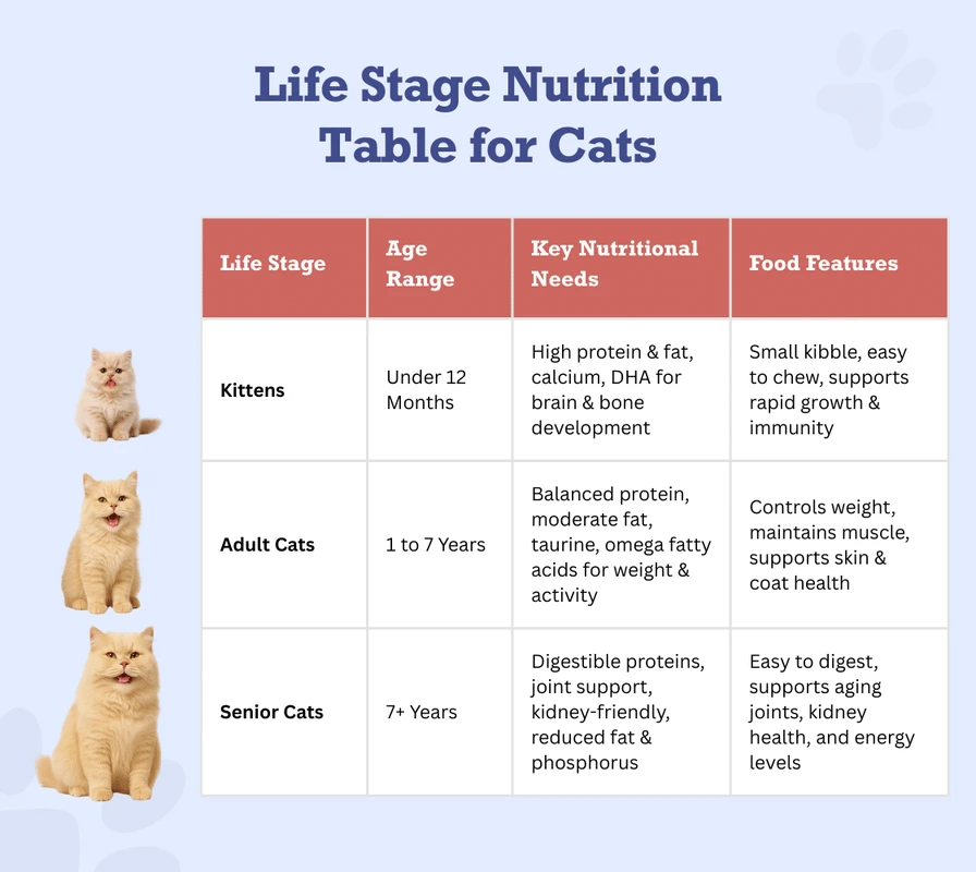 faq - How Nutritional Adjustments Manage Allergies in Cats