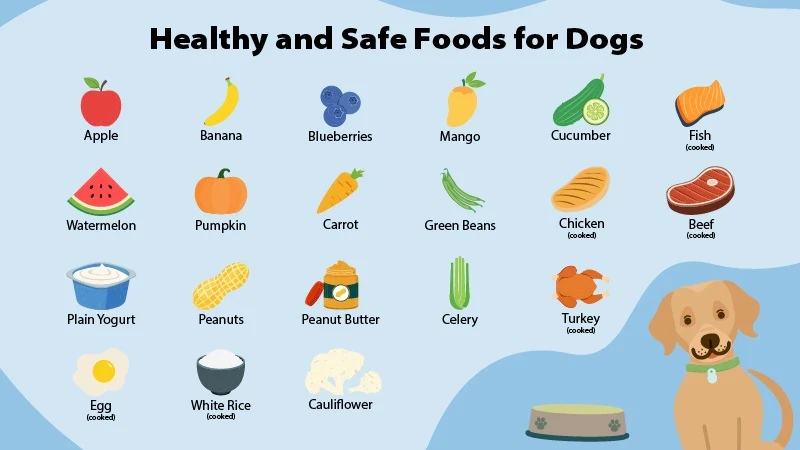 faq - How to Choose Quality Dietary Supplements for Dogs Safely