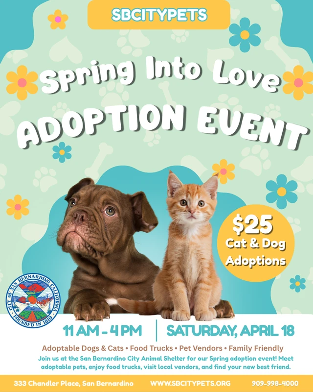 faq - How to Find Local Pet Adoption Events in 2026 Nationwide