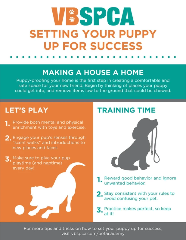 faq - How to Foster a Pet Successfully: Step-by-Step Guide