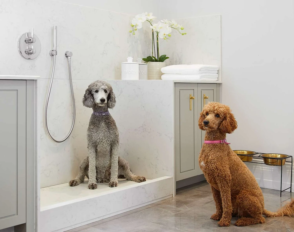 faq - How to Gather Inspiration for Eco-Friendly Pet Projects Easily