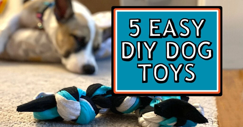 faq - How to Make Safe Pet Toys from Recycled Materials Easily