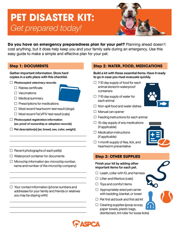 faq - How to Support Foster Animals Effectively: Expert Guide