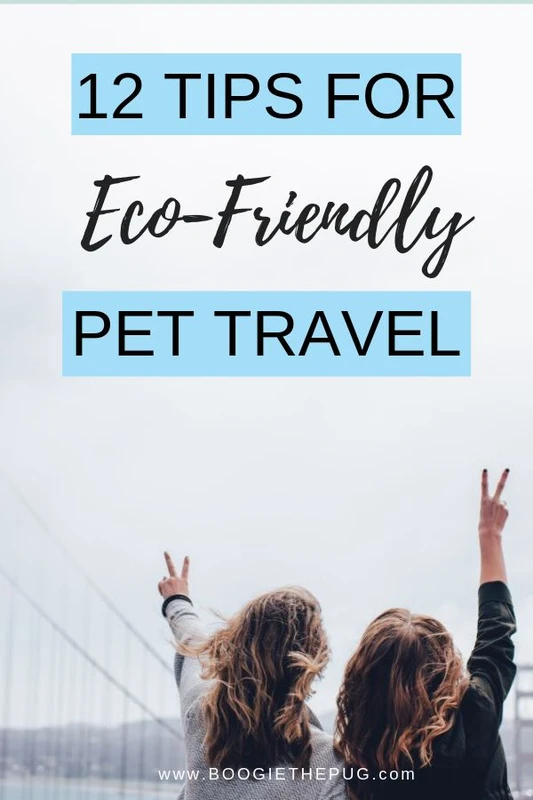 faq - How to Travel Sustainably with Pets: Step-by-Step Guide