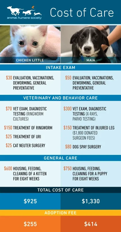 faq - Private vs Public Pet Adoption: Key Pros and Cons Explained