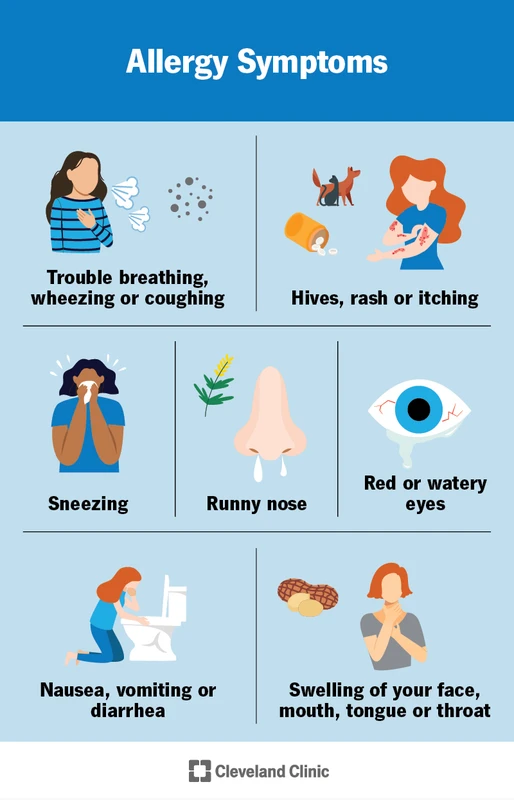faq - Signs of Food vs Environmental Allergies Explained Clearly