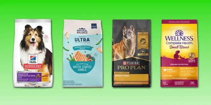 faq - Top Allergy-Friendly Dog Foods Reviewed for 2026
