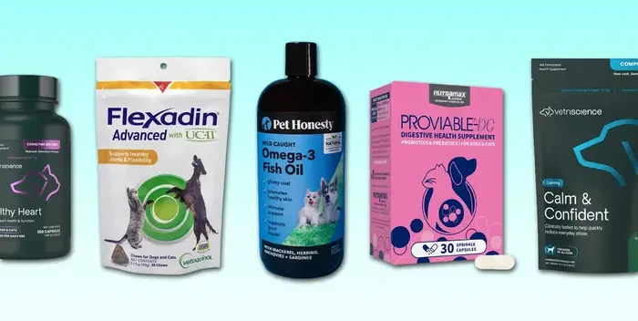 faq - Types of Dietary Supplements for Small Animals Explained
