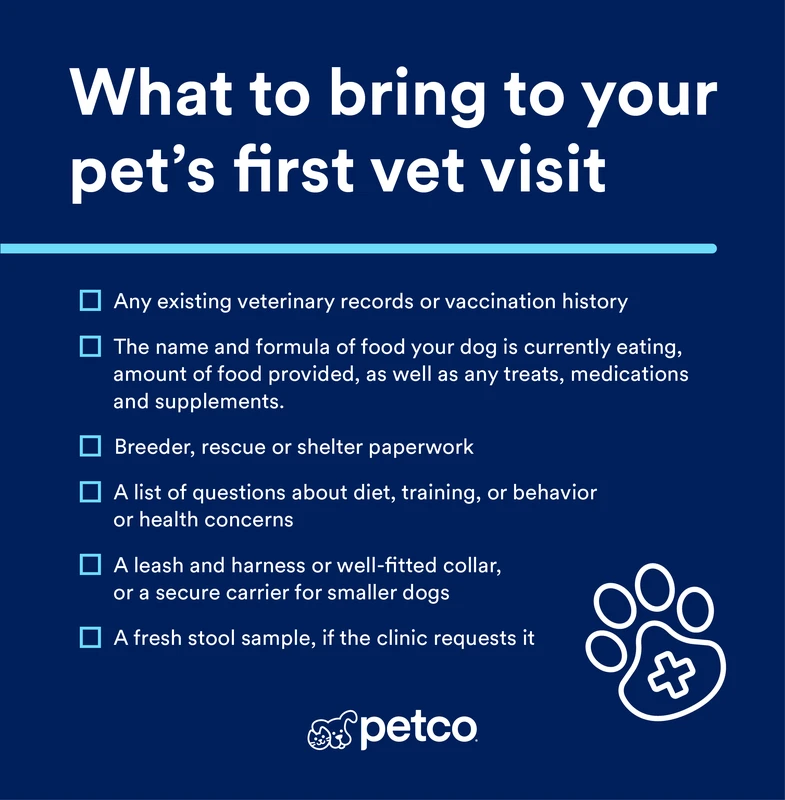 faq - Why Consult a Vet Before Pet Supplementation Matters