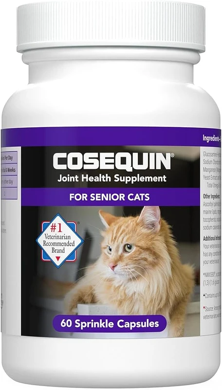 frequently-asked-questions - Best Joint Supplements for Older Cats: Expert-Backed Choices