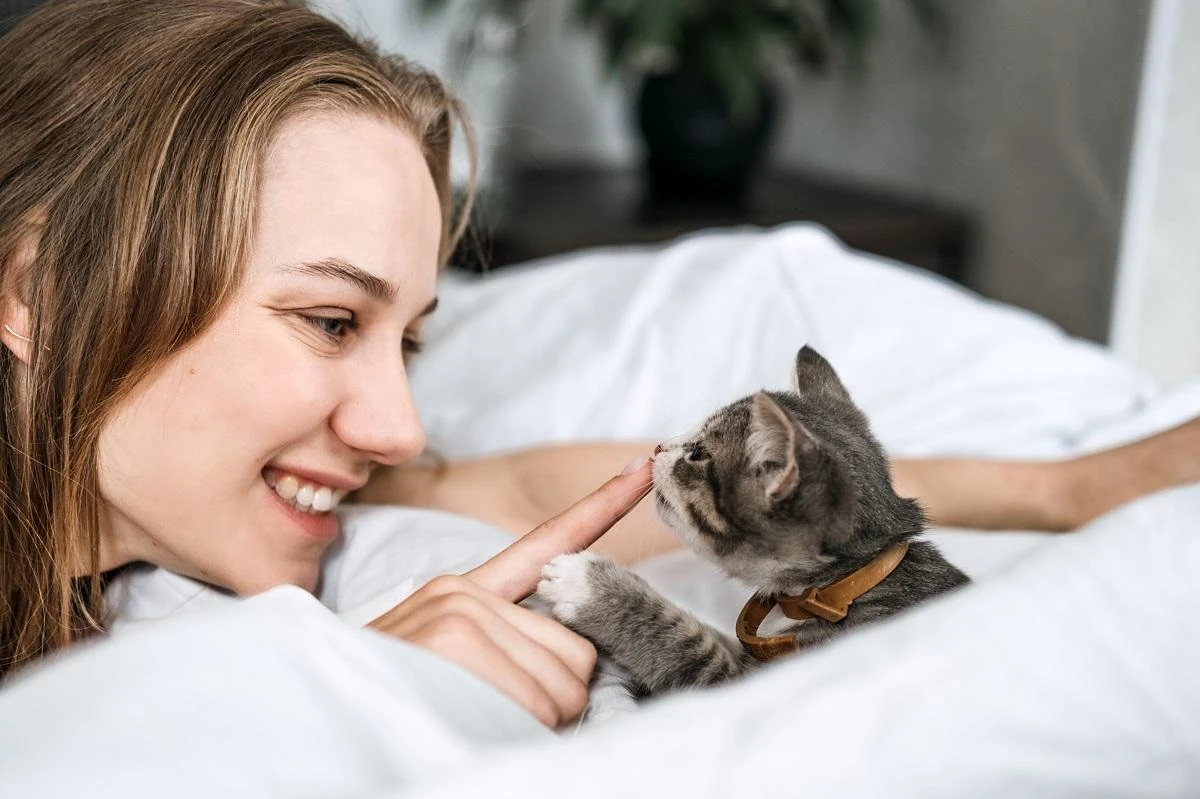 frequently-asked-questions - Difference Between Fostering and Adopting Pets Explained