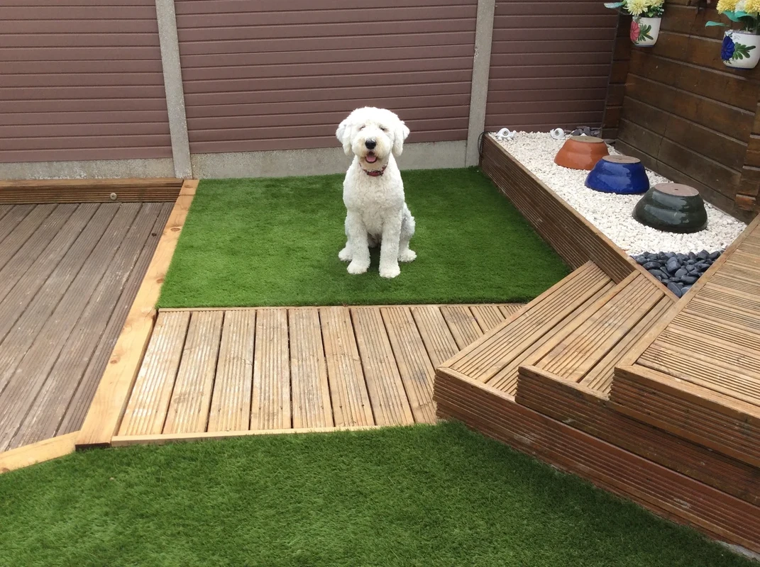 frequently-asked-questions - How to Create Sustainable Outdoor Spaces for Pets Safely