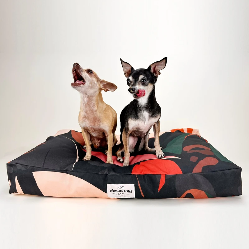 frequently-asked-questions - Key Differences Between DIY and Store-Bought Pet Products Explained