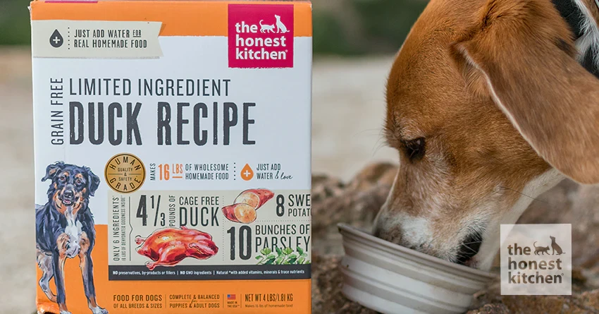 frequently-asked-questions - Limited Ingredient vs Hypoallergenic Dog Food: Key Differences Explained