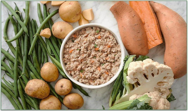 future-directions-and-practical-steps-for-pet-owne - Best Hypoallergenic Dog Food for Allergies: Top 2026 Choices