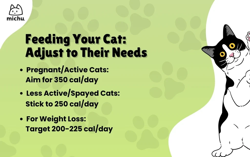 future-directions-in-nutritional-allergy-managemen - How Nutritional Adjustments Manage Allergies in Cats