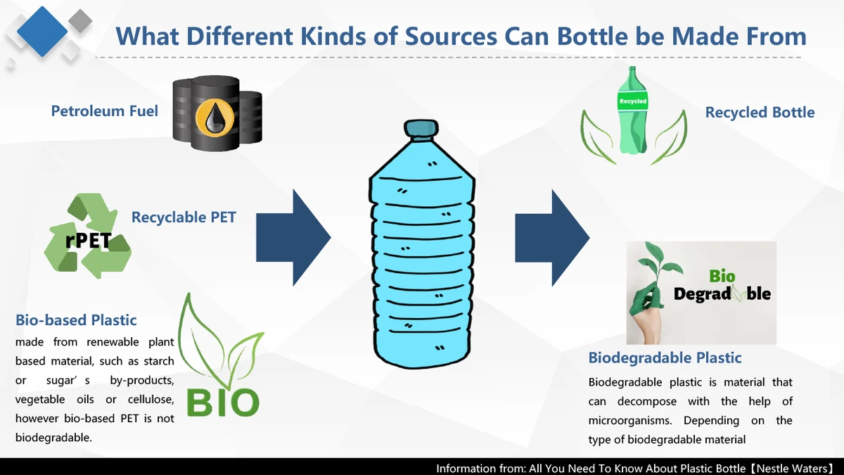future-trends-innovation-in-sustainable-pet-toy-ma - Difference Between Biodegradable and Plastic Pet Toys Explained