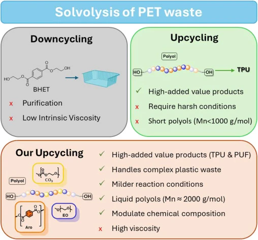 innovations-and-future-directions-in-pet-supply-up - Why Upcycling Pet Supplies Cuts Waste and Emissions