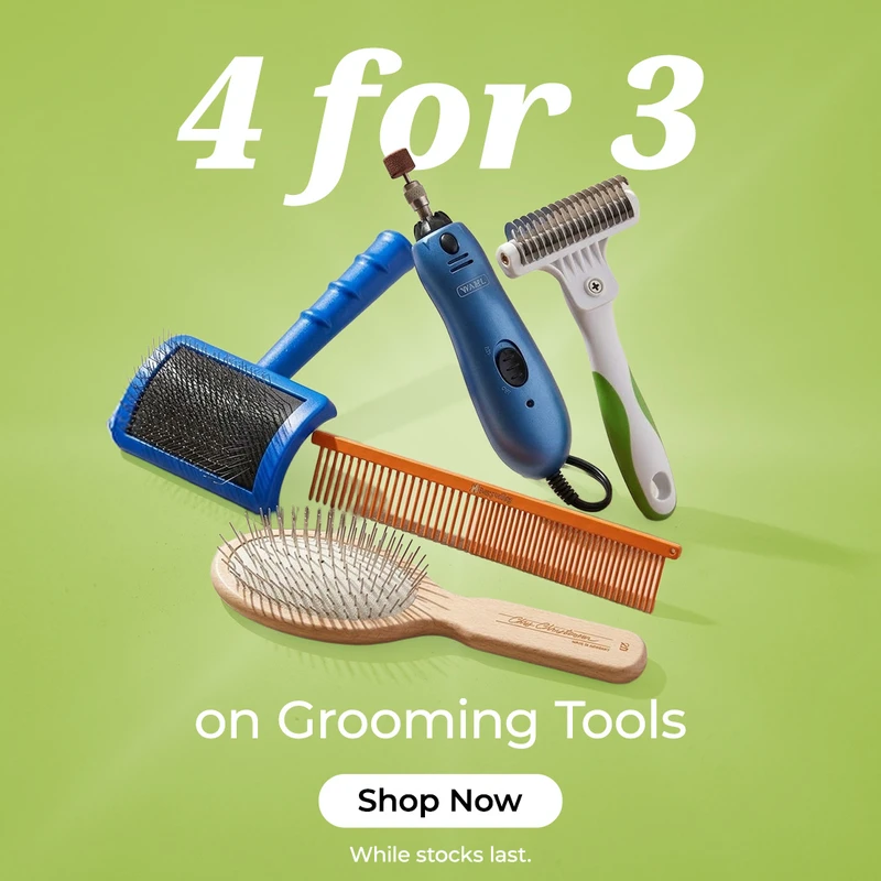 practical-tips-for-eco-friendly-dog-grooming-at-ho - Best Eco-Friendly Dog Grooming Tools for 2026: Bamboo & More