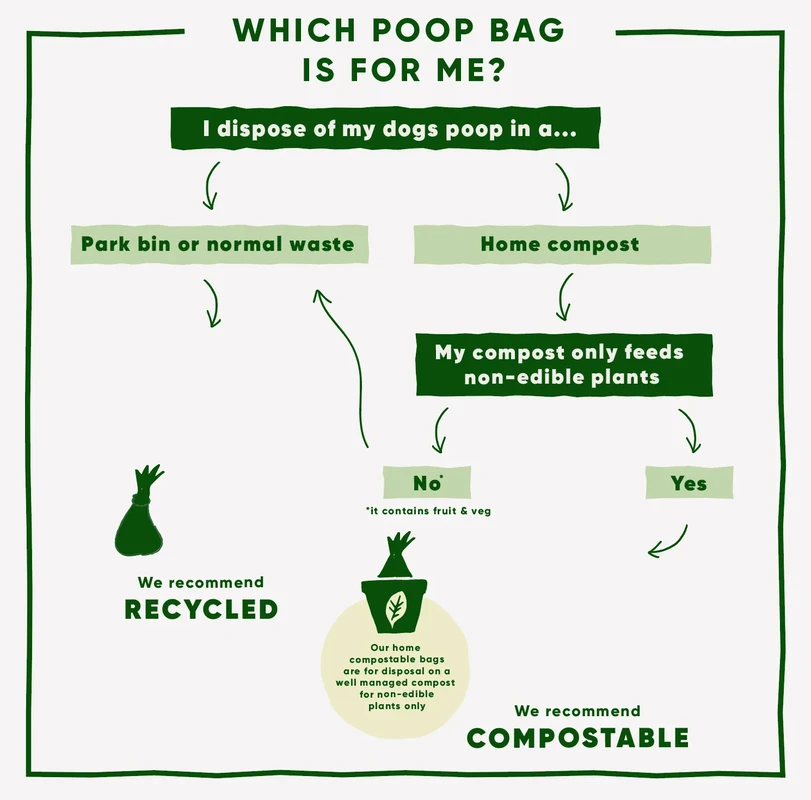 research-insights-and-expert-guidelines - How to Compost Dog Waste Safely at Home: Expert Methods