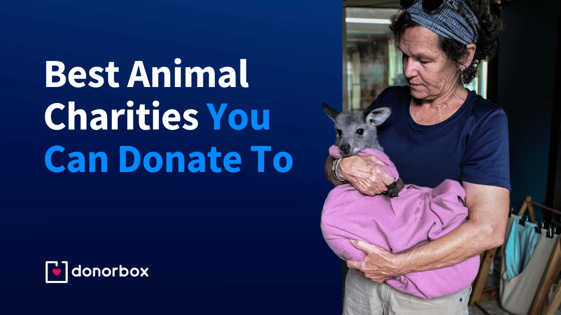 the-future-of-local-pet-and-wildlife-conservation - Local Pet Conservation Initiatives Drive Species Recovery in 2026