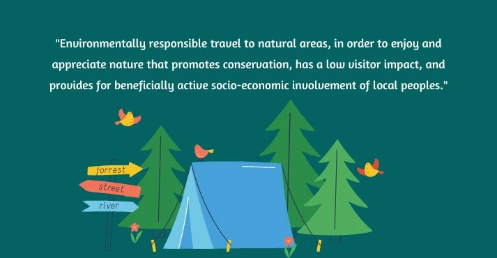 the-impact-and-future-of-eco-conscious-pet-travel - What Is Eco-Conscious Pet Travel Ethics? Guide to Sustainable Trips