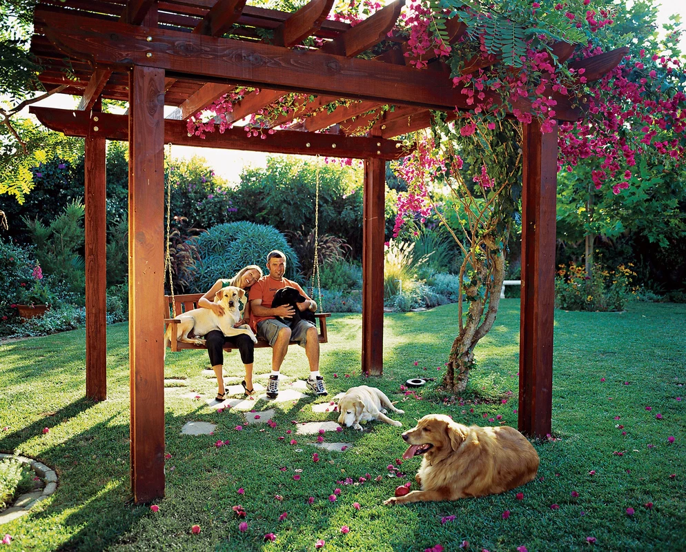 troubleshooting-common-issues - How to Create Sustainable Outdoor Spaces for Pets Safely