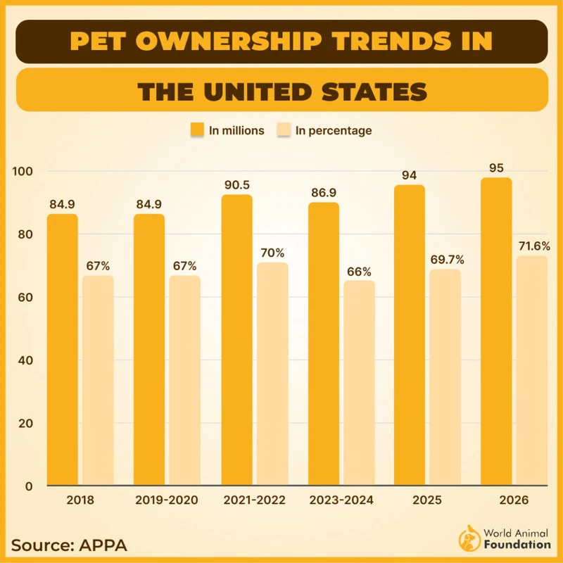 animal-welfare-and-shelter-support - How Responsible Pet Ownership Boosts Community Health in 2026