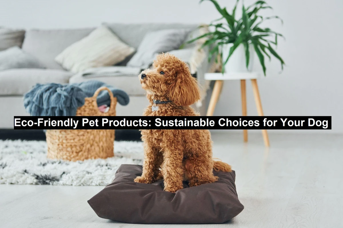challenges-and-considerations - How DIY Eco-Friendly Pet Supplies Benefit Sustainability