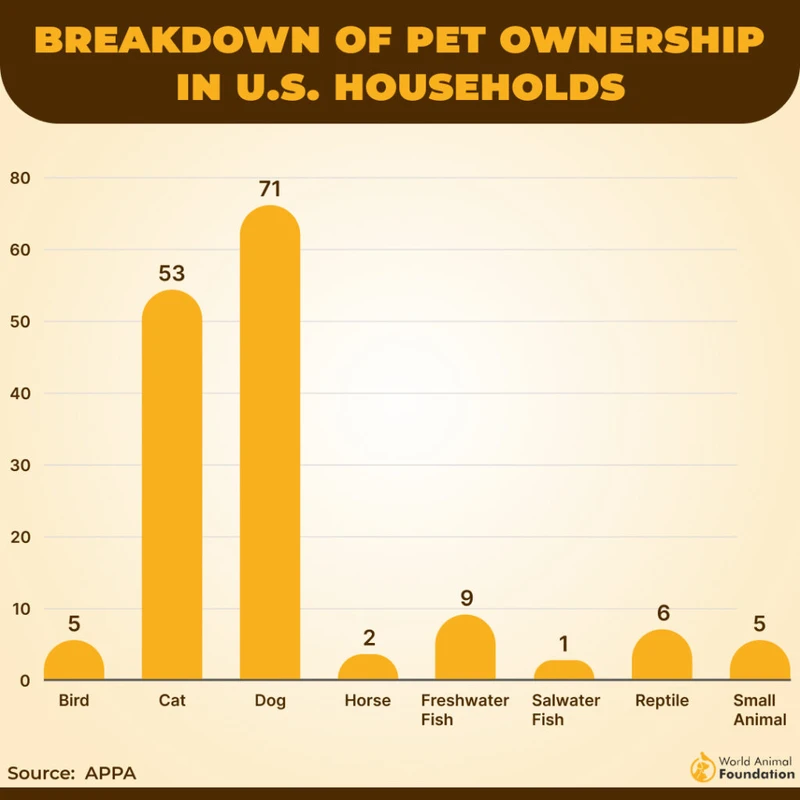 challenges-and-emerging-trends - How Responsible Pet Ownership Boosts Community Health in 2026
