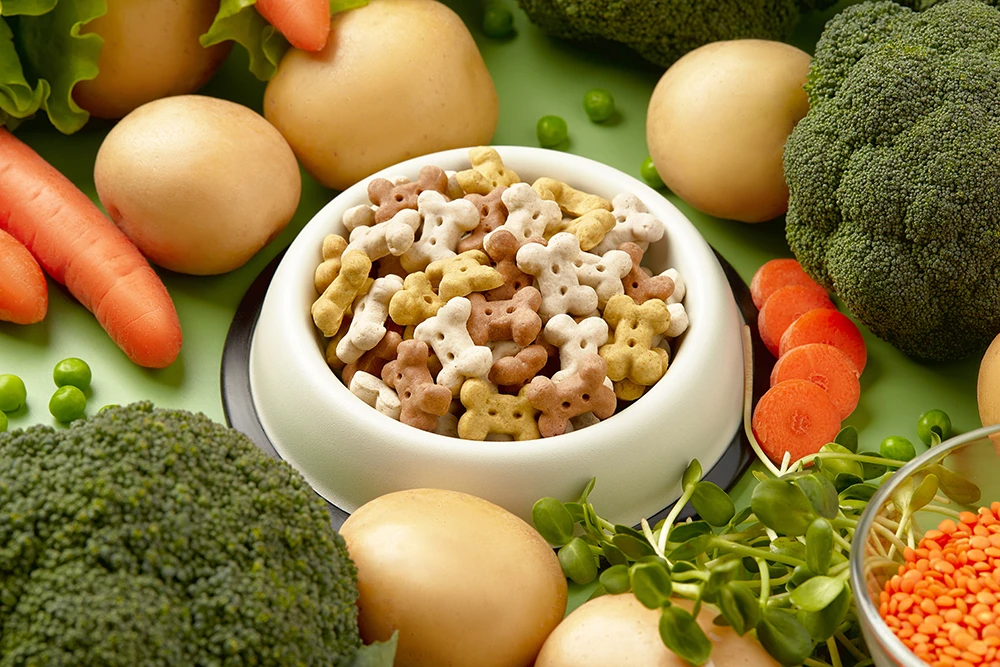 consumer-guidance-and-choosing-the-right-diet - Vegan Dog Food vs Meat: Nutrition & Sustainability in 2026