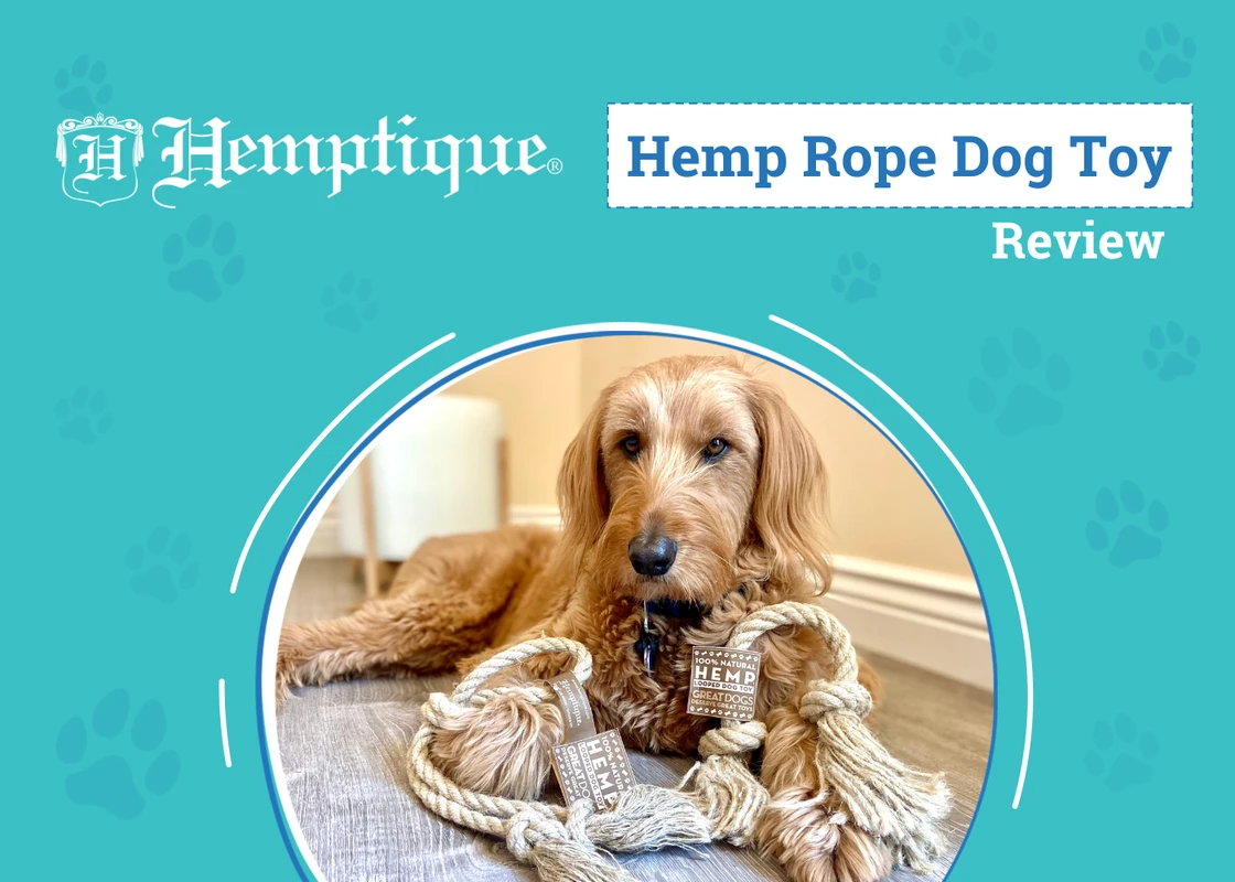 consumer-guidance-for-selecting-eco-friendly-pet-t - Top Eco-Friendly Pet Toy Brands Reviewed for Safety & Sustainability