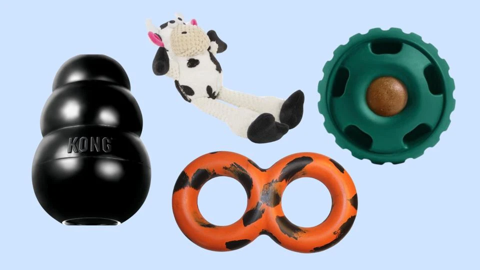 emerging-trends-and-future-directions-in-eco-frien - Eco-Friendly Dog Toys in 2026: Safe, Sustainable, Durable Options