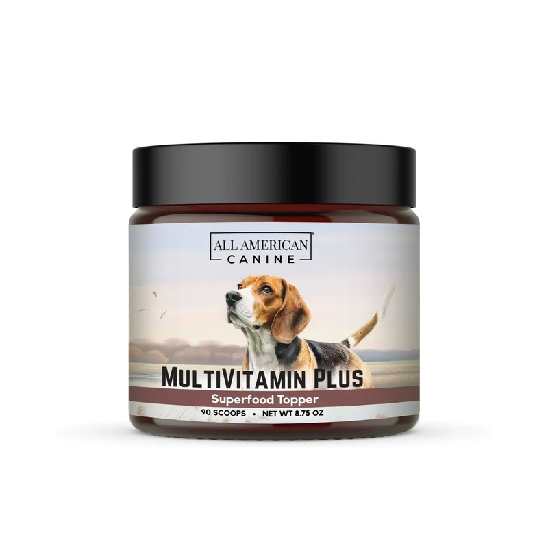 emerging-trends-in-dog-vitamin-supplements-for-202 - Top Dog Vitamin Supplements 2026 Backed by Vets & Science