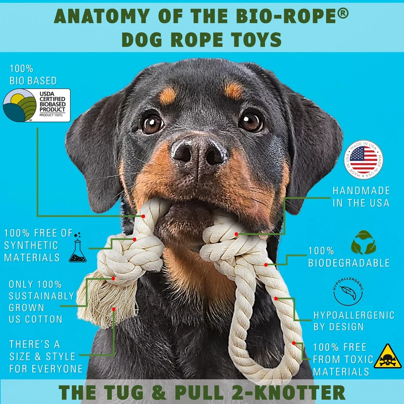environmental-and-health-impact-of-choosing-eco-fr - Eco-Friendly Pet Toys Use Natural Materials for Safe Play